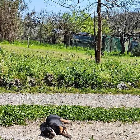 Séjour chez l'habitant Casa Stefano Sienne