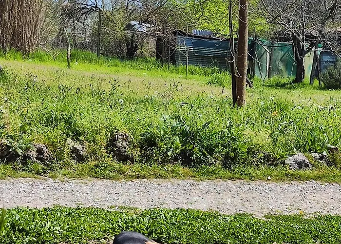 منزل للإقامة Casa Stefano سيينا